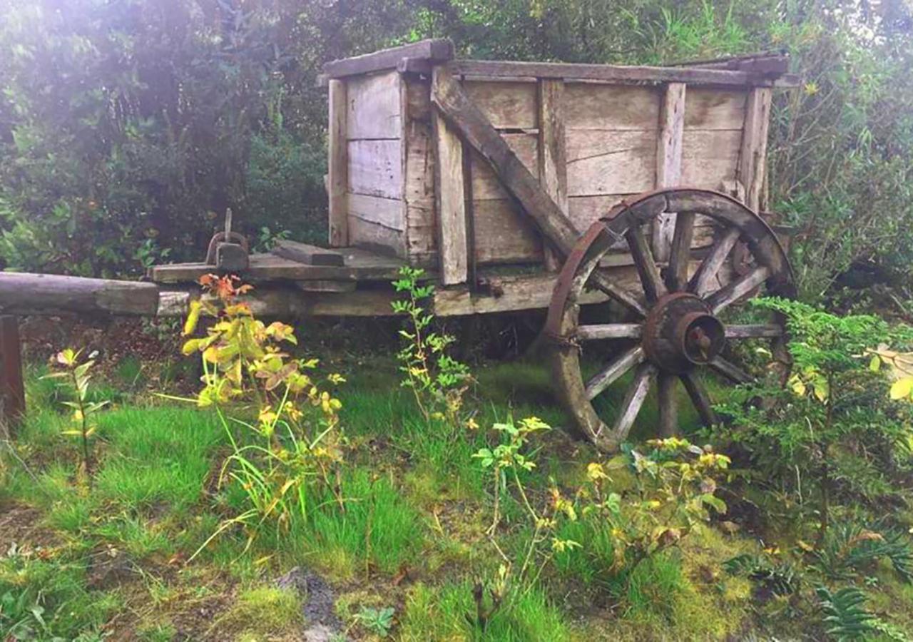 Cabanas Los Cantos Del Chucao Puerto Varas Eksteriør billede