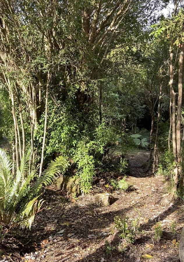 Cabanas Los Cantos Del Chucao Puerto Varas Eksteriør billede